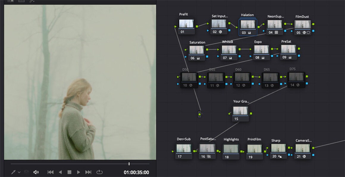 35毫米电影800 – 达芬奇调色风格包 – 适用于专业电影制作和摄影 35MM CINE800 – DaVinci Resolve PowerGrade