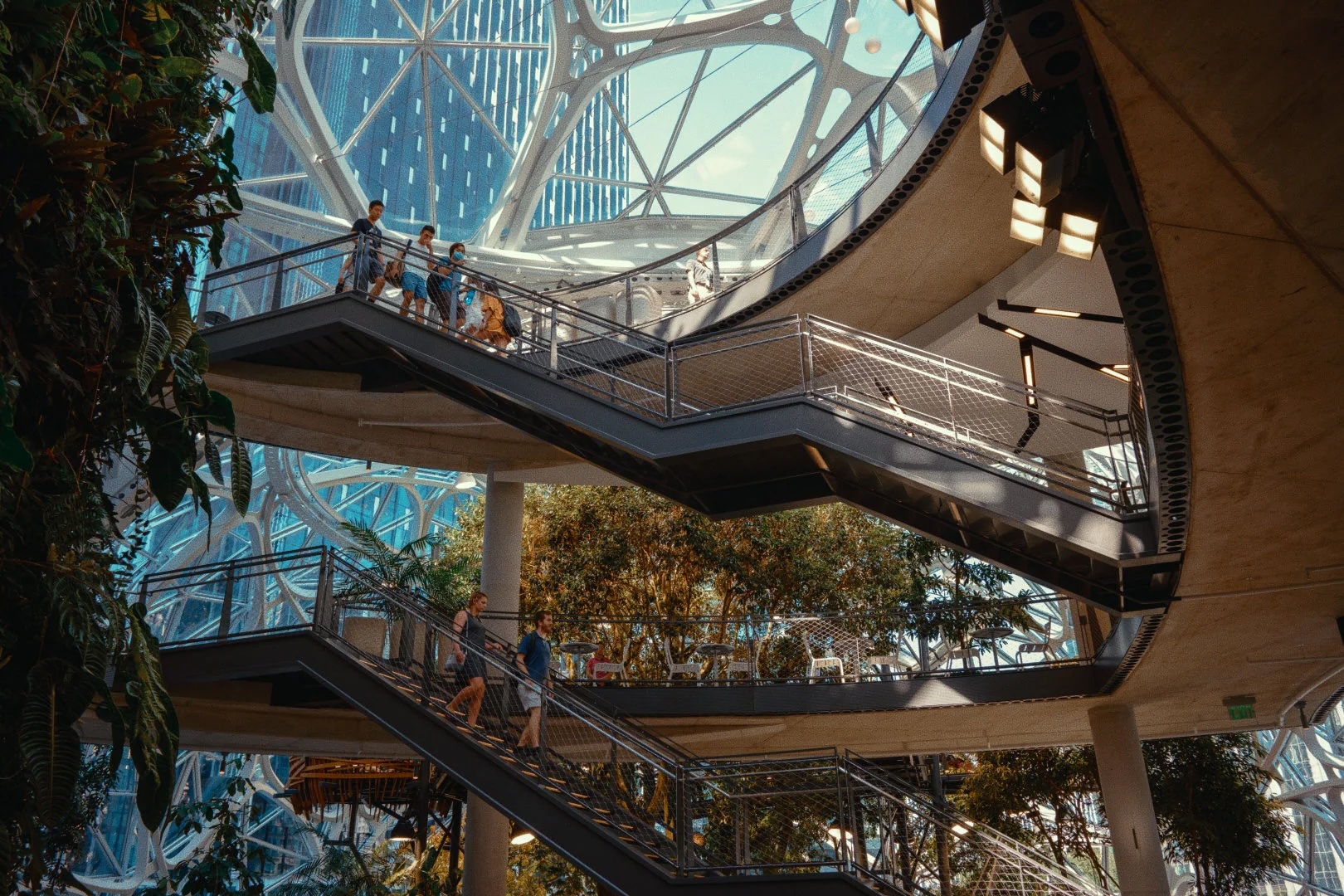 Analogica Lab – KODAK 2383 D55 D60 D65 Film Emulation LUTs for Rec709 & LOG – For Professional Filmmaking and Photography