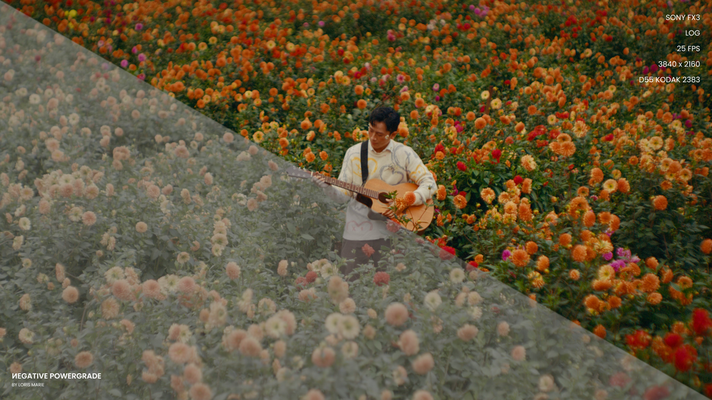 好莱坞电影外观达芬奇视频调色包 Loris Marie–Negative Powergrade