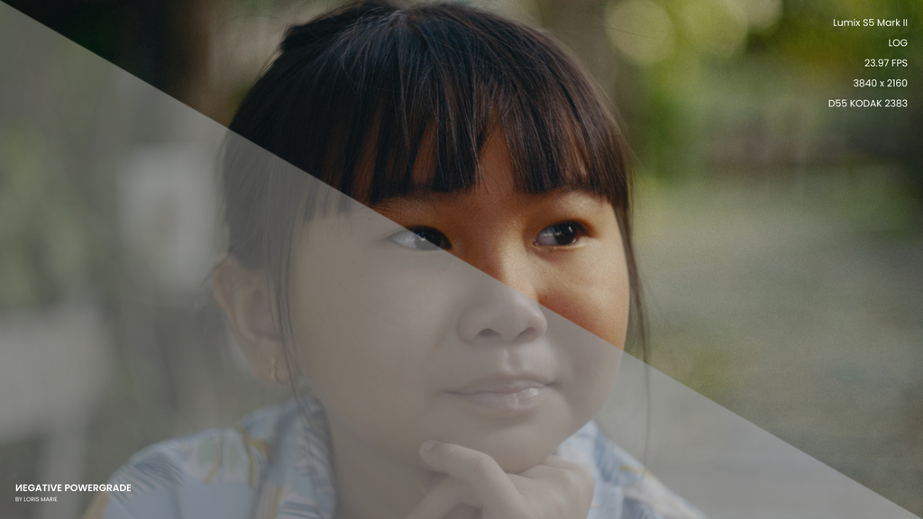 好莱坞电影外观达芬奇视频调色包 Loris Marie–Negative Powergrade