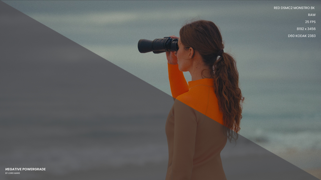 好莱坞电影外观达芬奇视频调色包 Loris Marie–Negative Powergrade