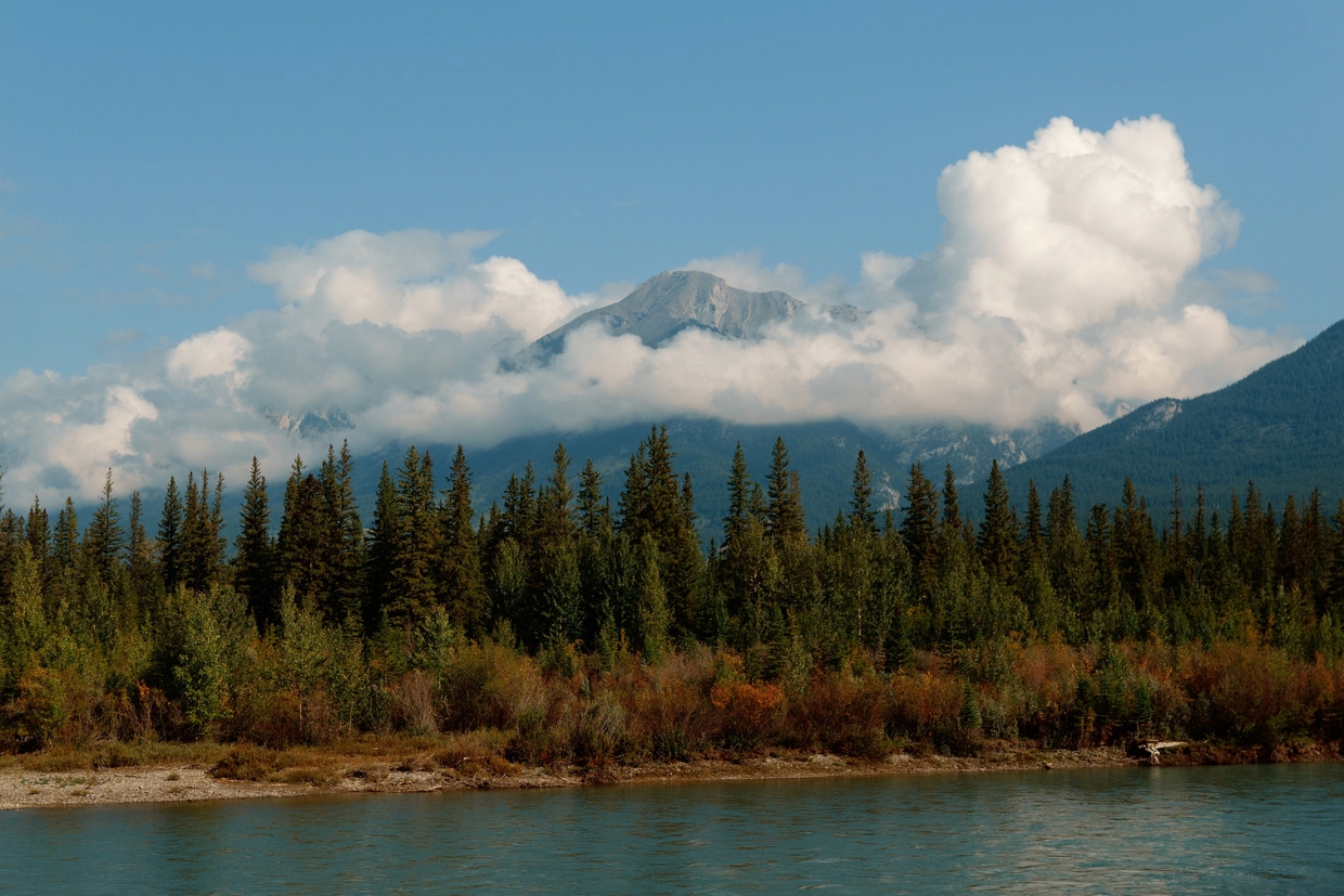 松下相机VLog胶片模拟仿真Rec709色彩还原LUT调色包 Lumix LUTs