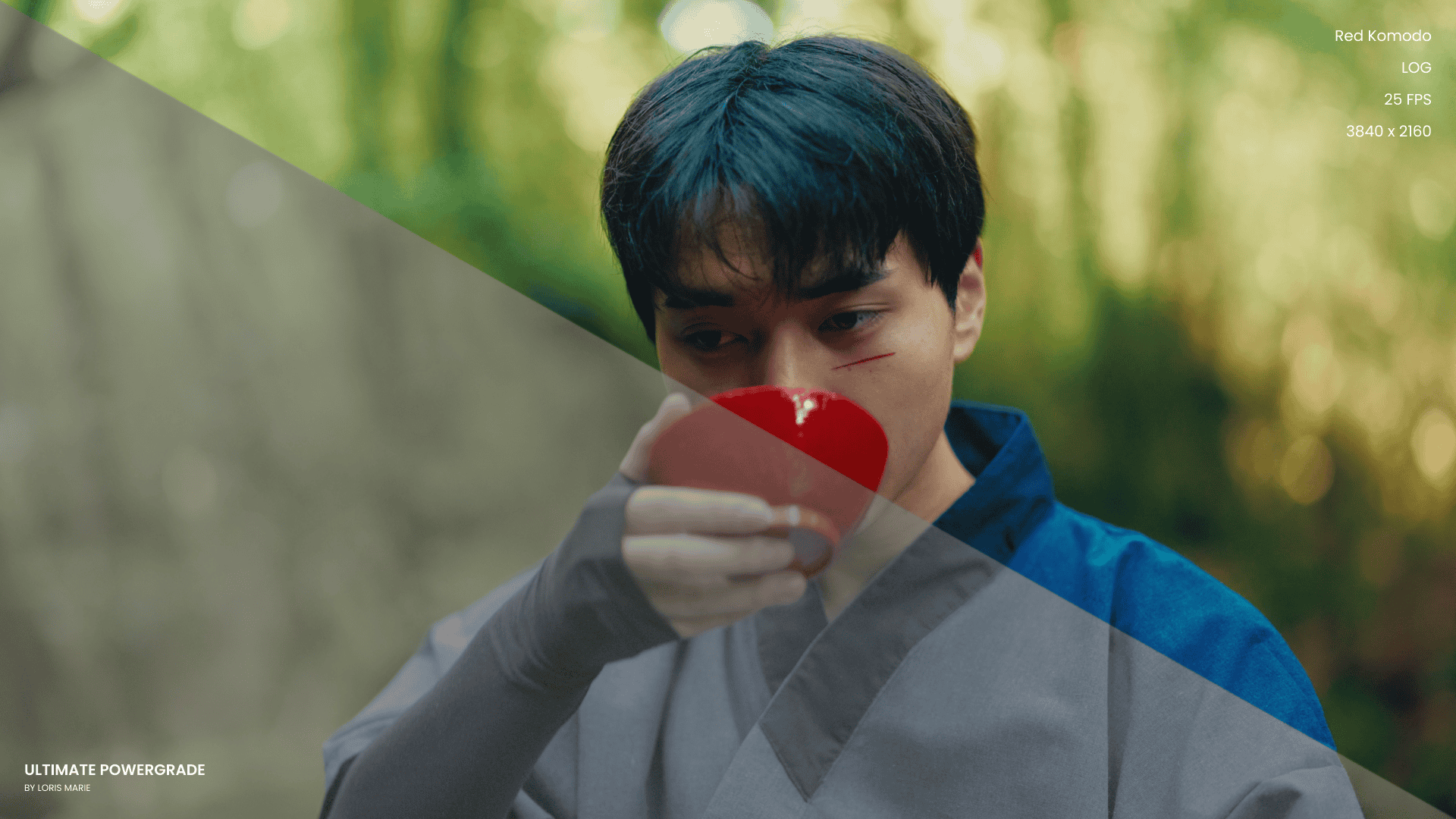 摄影师Loris Marie达芬奇视频调色限定预设包 – Ultimate Powergrade V3 (Davinci Resolve)