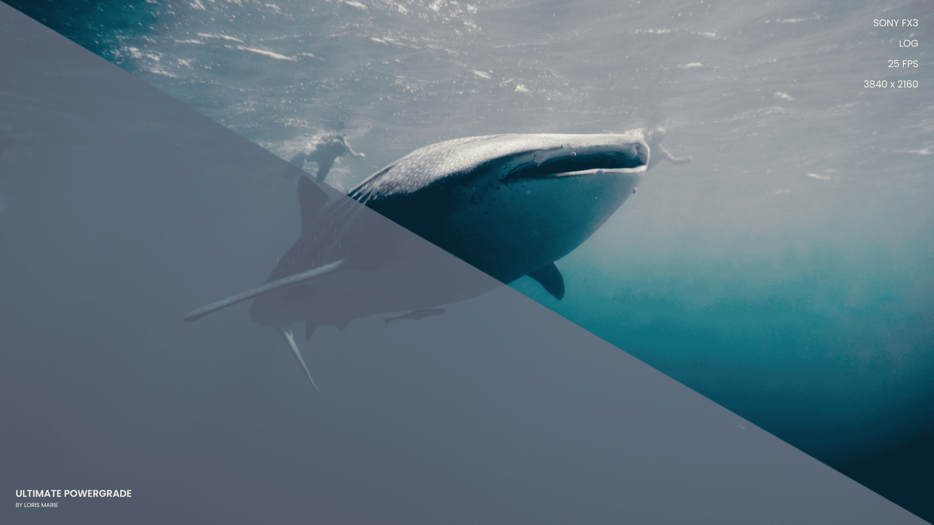 摄影师Loris Marie达芬奇视频调色限定预设包 – Ultimate Powergrade V3 (Davinci Resolve)