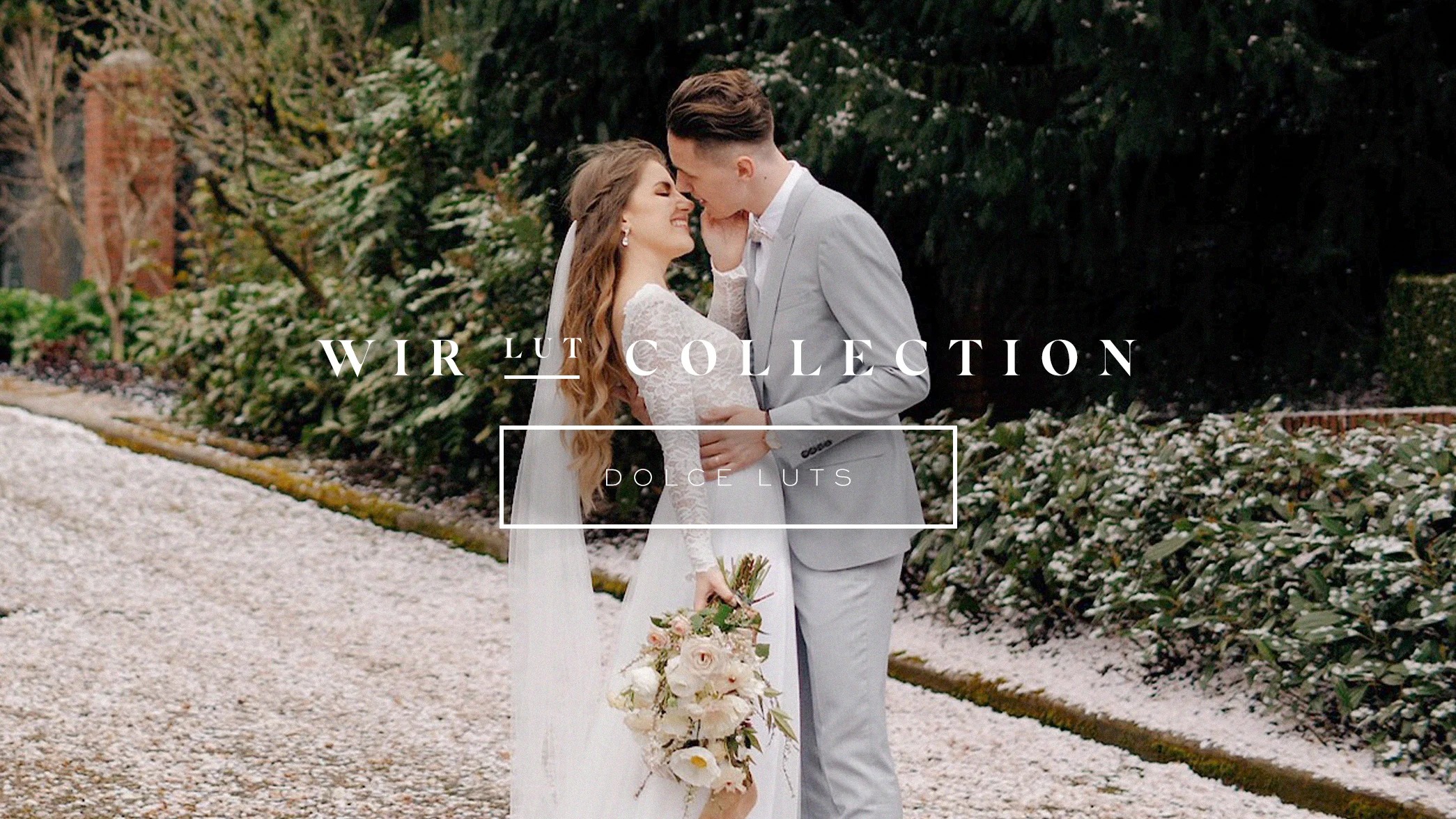 专业级婚礼影片视频luts调色预设 White In Revery –DOLCE LUT COLLECTION