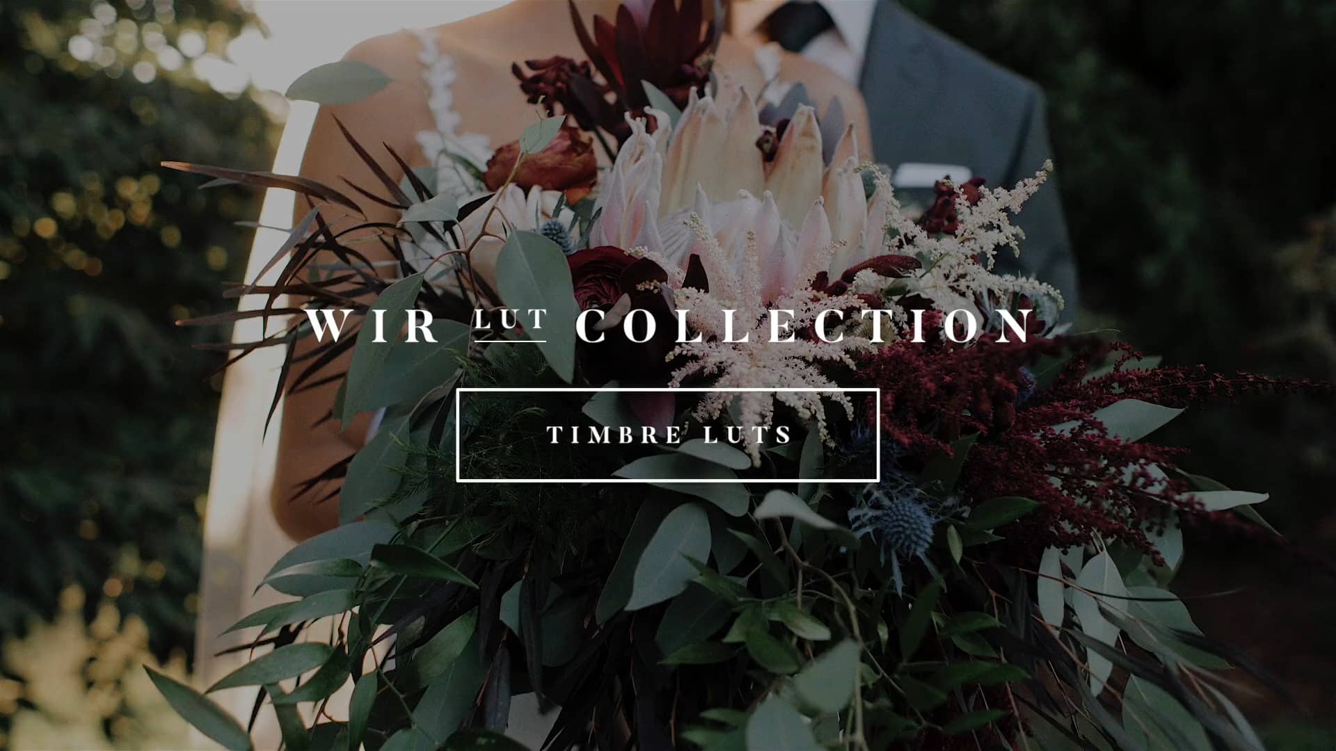 专业级婚礼影片视频luts调色预设 White In Revery – TIMBRE LUT COLLECTION