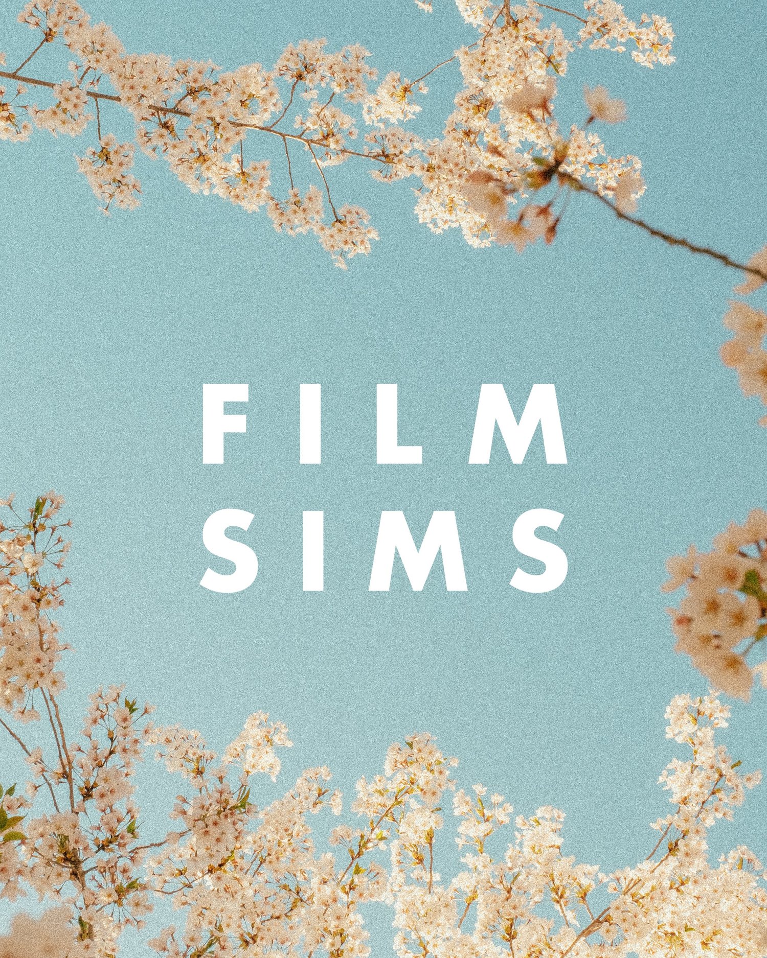 电影胶片预设 Austin Visual-AV FILM SIMS 01