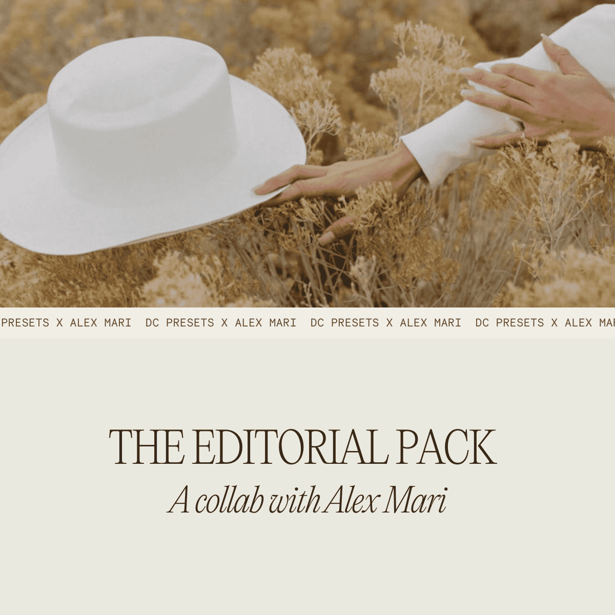 Alex Mari 与 Dawn Charles 合作款预设 DCxAM Editorial Pack