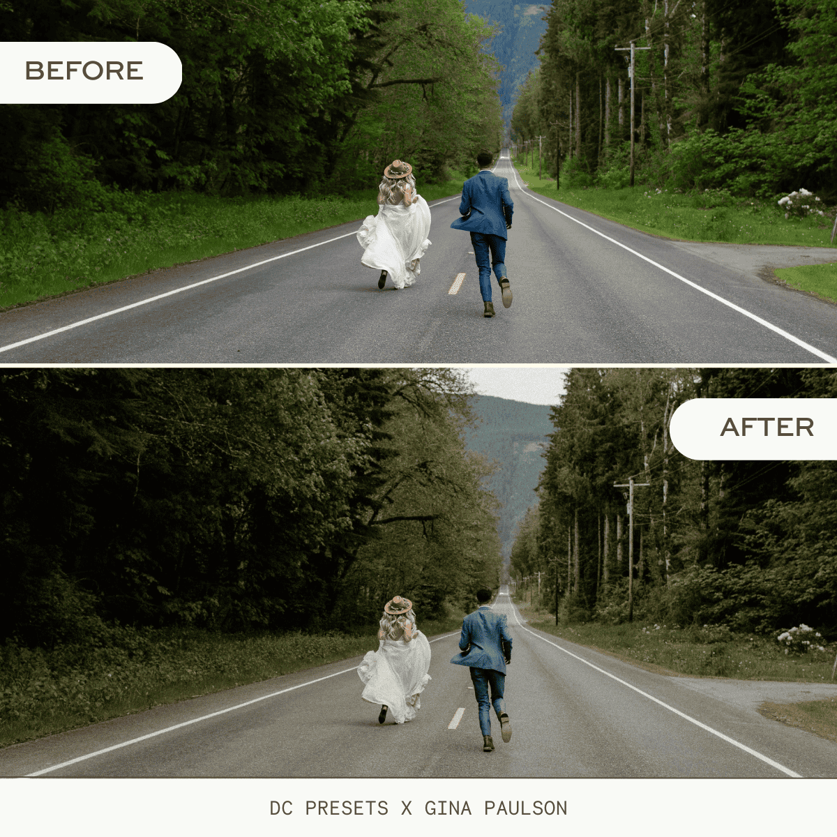 Gina Paulson x Dawn Charles 合作款预设 DCxGP Pacific Pack