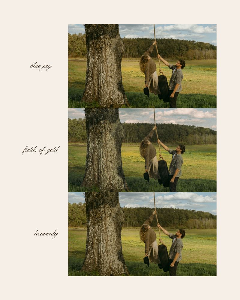 摄影师Ashlynlee胶片人像预设 Poppy Presets – Complete Pack