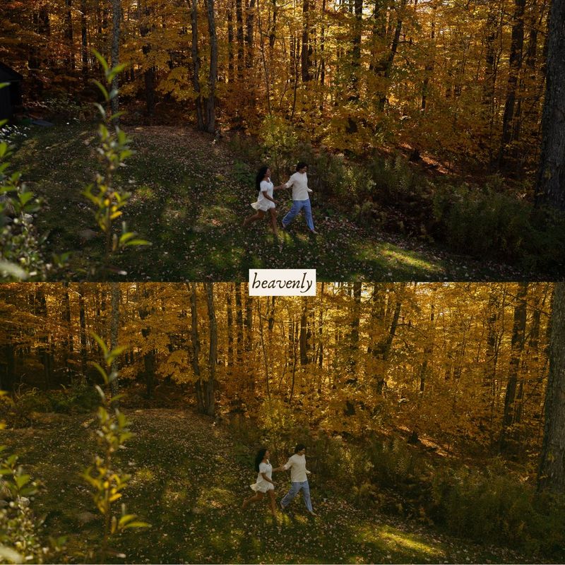 摄影师Ashlynlee胶片人像预设 Poppy Presets – Complete Pack