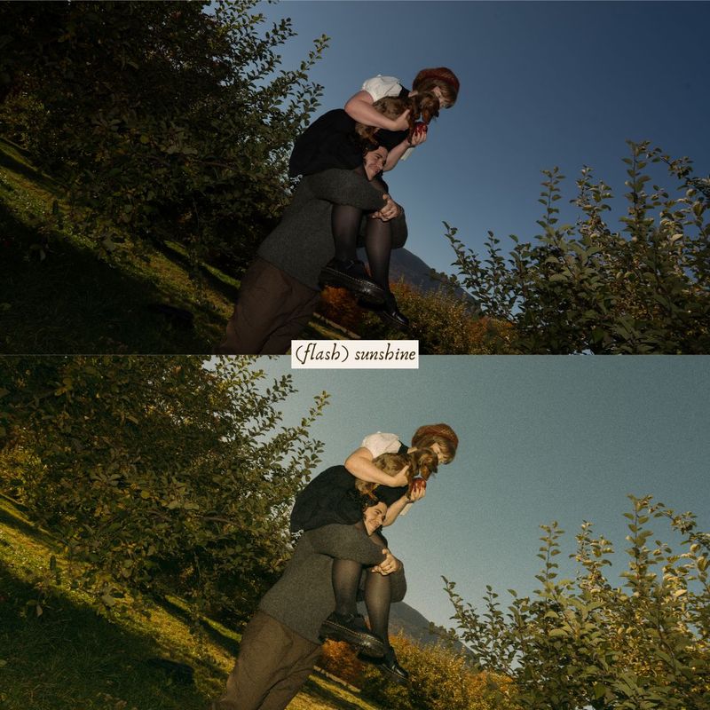 摄影师Ashlynlee胶片人像预设 Poppy Presets – Complete Pack