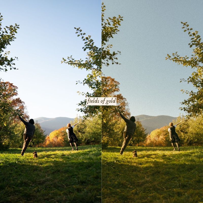 摄影师Ashlynlee胶片人像预设 Poppy Presets – Complete Pack