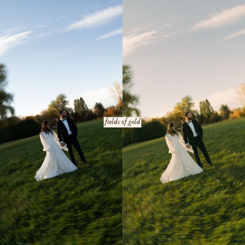 摄影师Ashlynlee胶片人像预设 Poppy Presets – Complete Pack