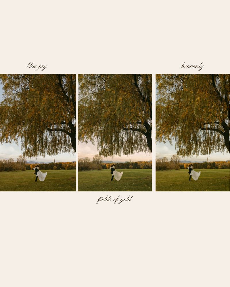 摄影师Ashlynlee胶片人像预设 Poppy Presets – Complete Pack