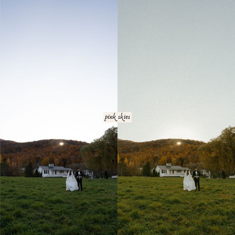 摄影师Ashlynlee胶片人像预设 Poppy Presets – Complete Pack