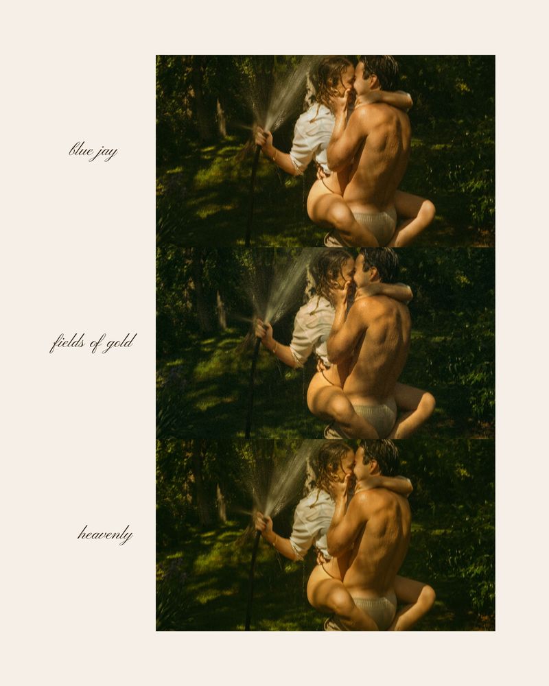 摄影师Ashlynlee胶片人像预设 Poppy Presets – Complete Pack