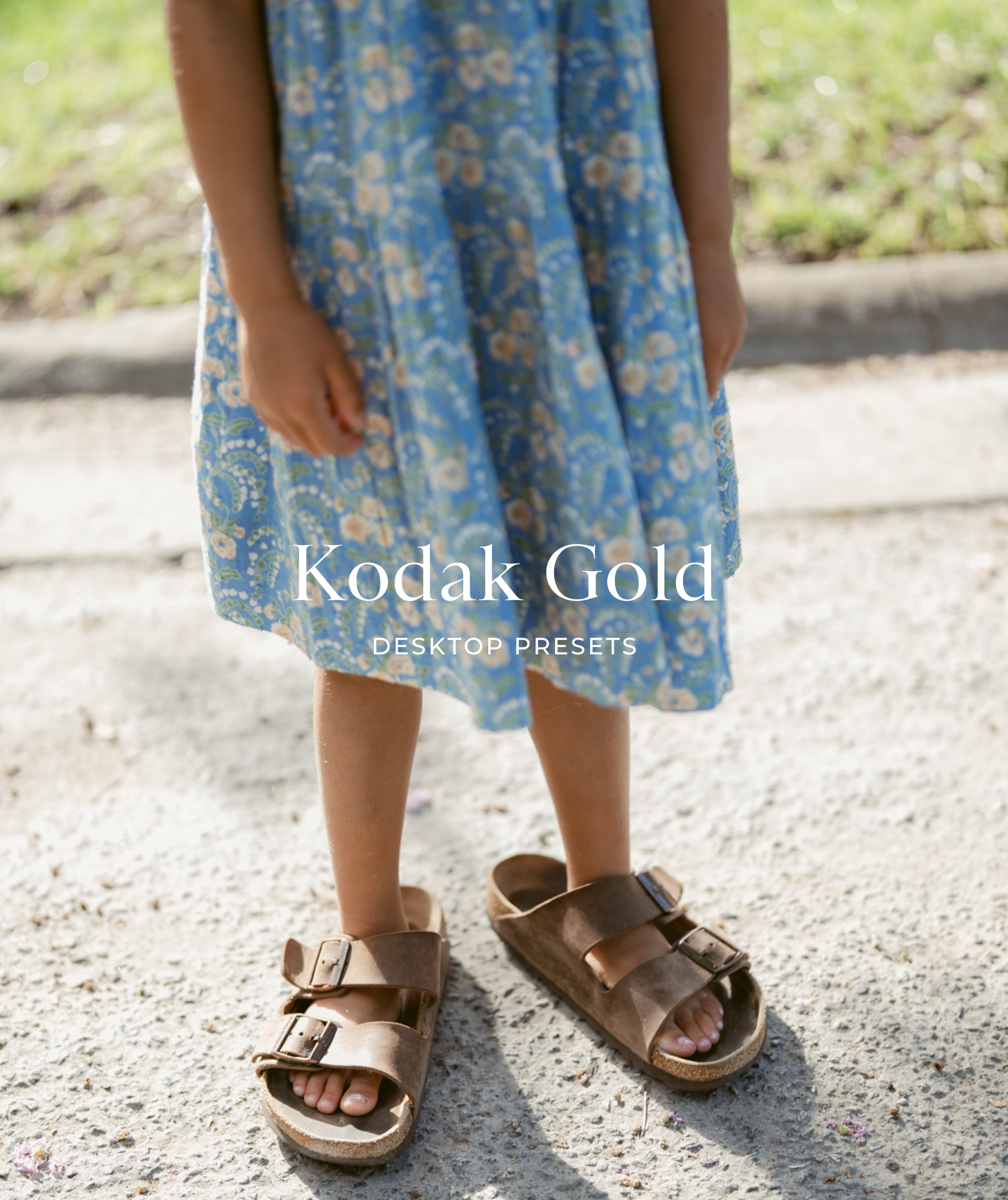 柯达胶片外观LR预设包 REFINED Kodak Gold