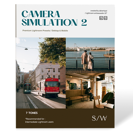CAMERA SIMULATION Vol.2 collection