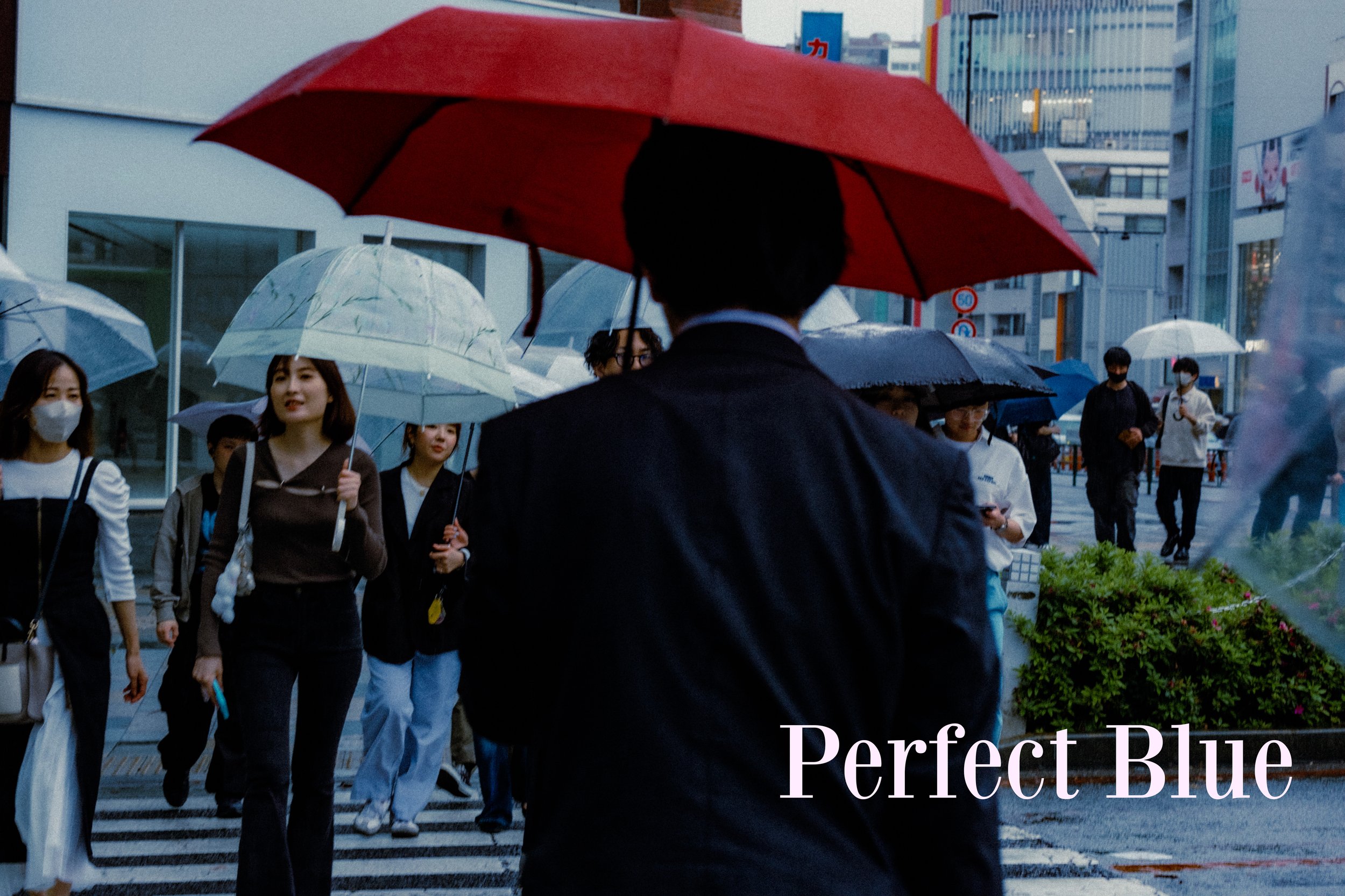 电影胶片外观预设包 CineFilm Presets (Lightroom Desktop & Mobile)