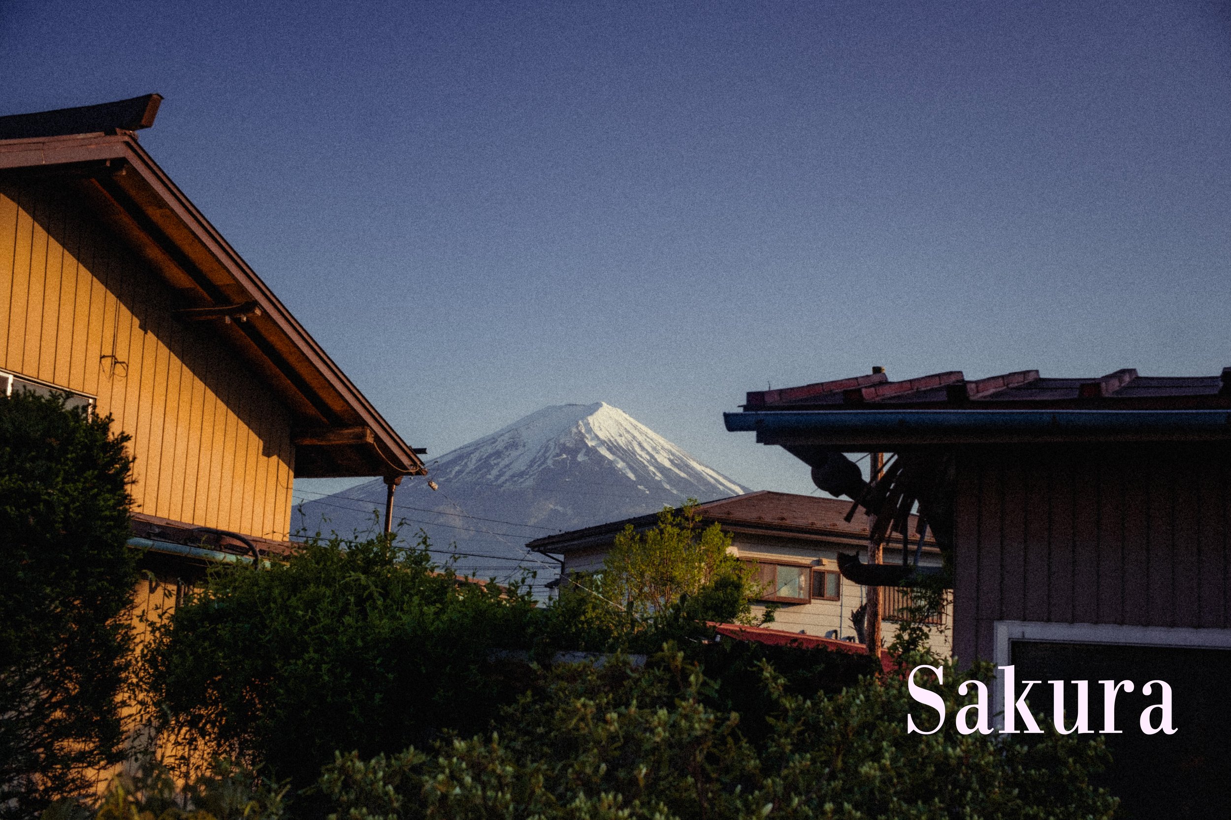 电影胶片外观预设包 CineFilm Presets (Lightroom Desktop & Mobile)