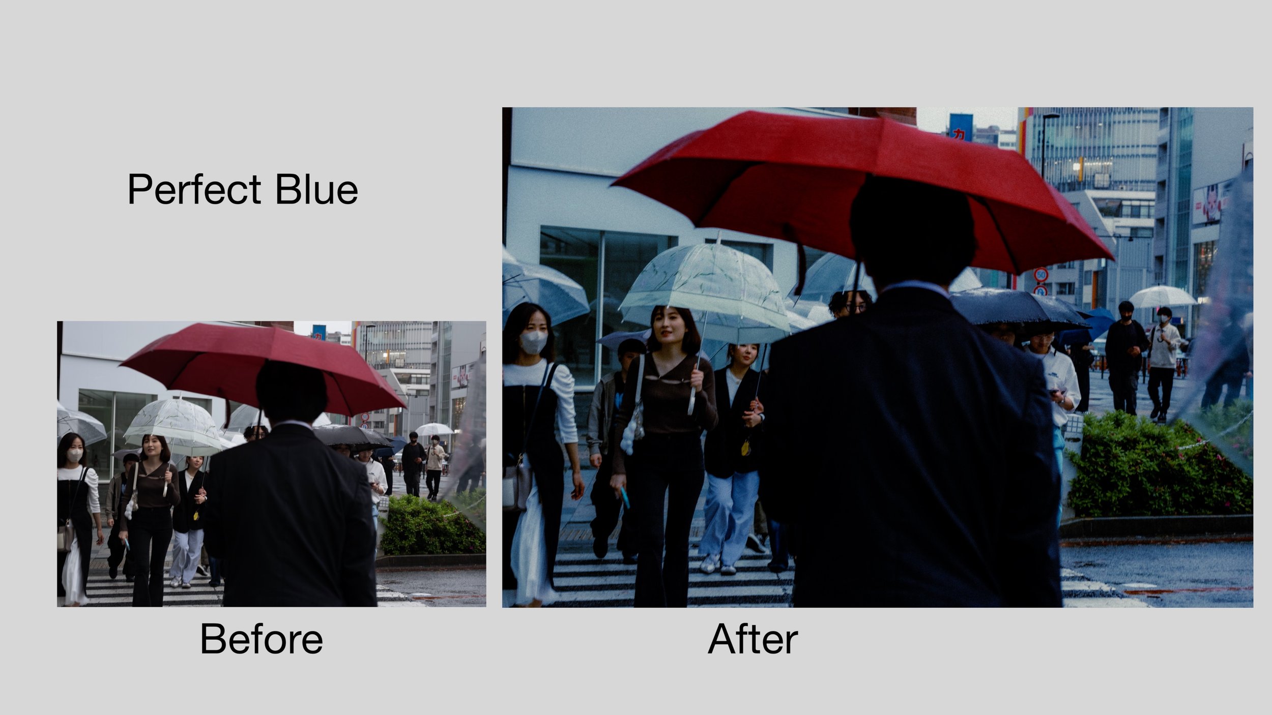 电影胶片外观预设包 CineFilm Presets (Lightroom Desktop & Mobile)