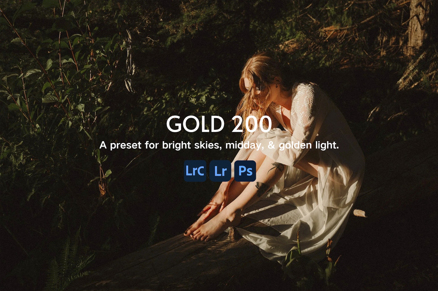 Gold 200 胶片预设包 Very Good Presets – VGP GOLD 200 Lightroom Presets