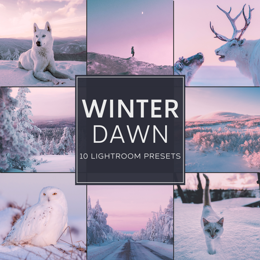 冬日黎明粉红色调LR 、 PS预设包 Winter Dawn LIMITED Presets Pack