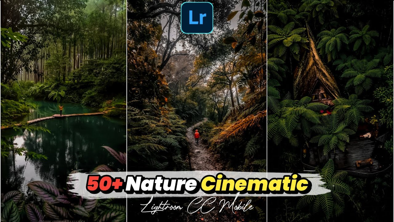 50个自然电影风格Lightroom、ps预设，Nature Cinematic Presets | LIGHTROOM TERBARU 2021